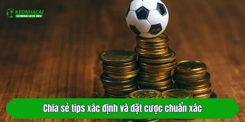 Chia sẻ tips xác định và đặt cược chuẩn xác cho bạn mới