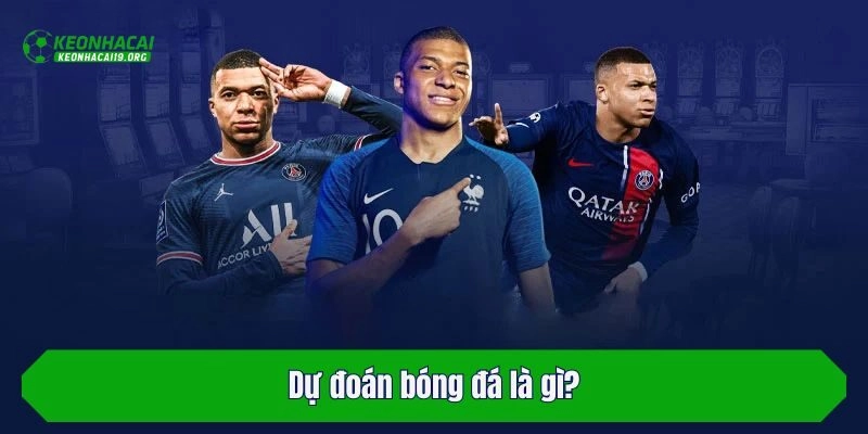 Dự đoán bóng đá là gì?