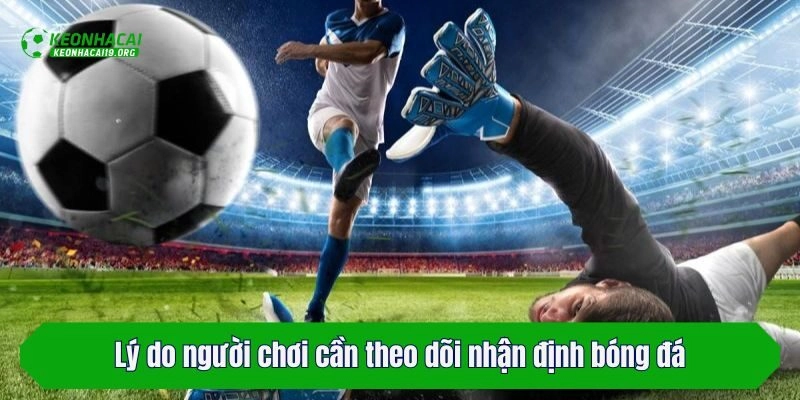 Lý do người chơi cần theo dõi nhận định bóng đá